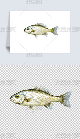 r^p~宋(bo)⓸png͸DƬز