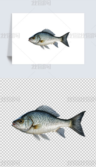 r^p~宋⓸png͸DƬز
