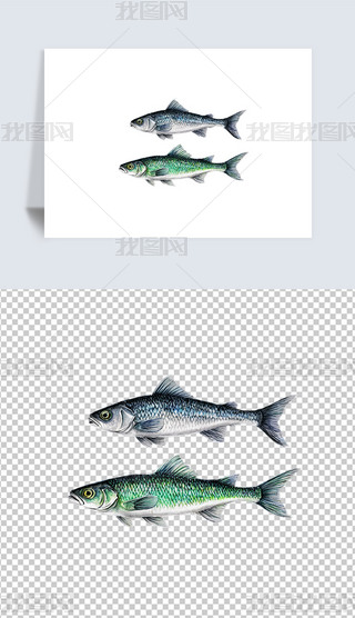 r^p~宋⓸png͸DƬز