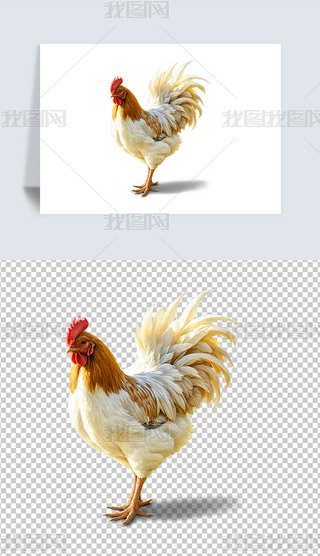 ݹuĸuСuAI宋庣󱳾ز