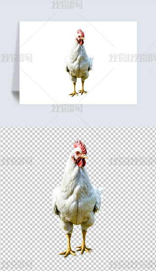 ݹuĸuСuAI宋庣󱳾ز