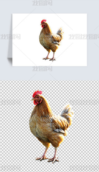 ݹuĸuСuAI宋庣󱳾ز