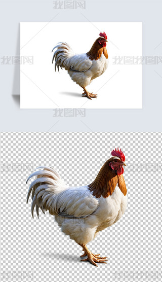 ݹuĸuСuAI宋庣󱳾ز