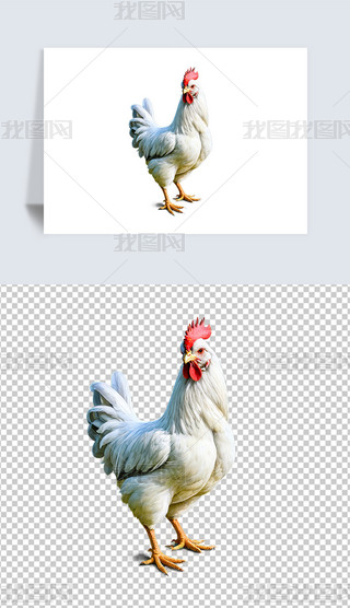 ݹuĸuСuAI宋庣(bo)ز