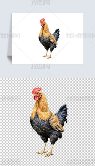 ݹuĸuСuAI宋庣󱳾ز