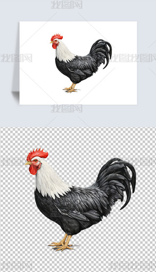 ݹuĸuСuAI宋庣󱳾ز