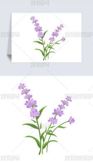 LLЇLһѻĵɻز