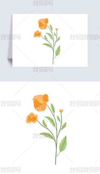 LL(fng)Ї(gu)L(fng)(gu)һѻĵɻز