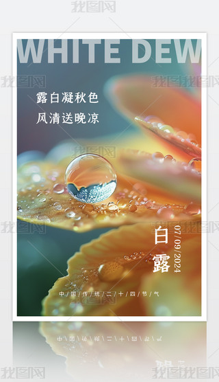 ¶(bo)¶ʮĹ(ji)⺣(bo)