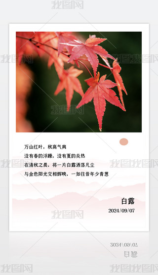 ¶(bo)¶ʮĹ(ji)⺣(bo)