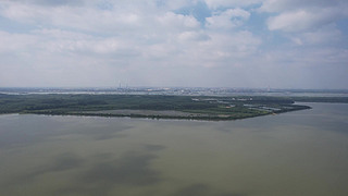 悽L
