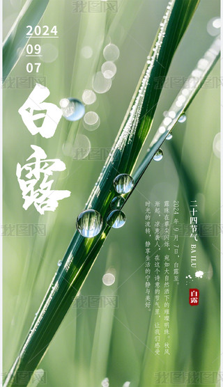 ¶ʮĹ(ji)⺣(bo)