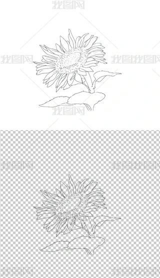 LDտ۲宋ز