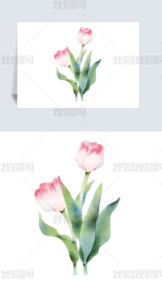 LLЇLһѻĵɻز