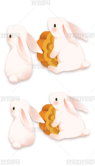 LͨӰ﹝ʸԪ
