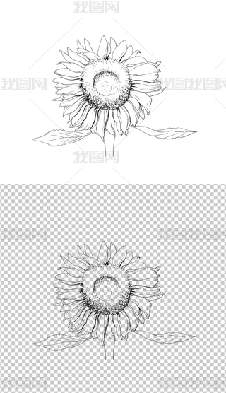 ۻܾ