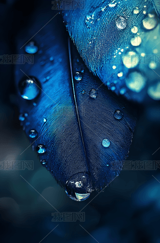 ںɫıһ¶ھGɫ{ɫBëϳˇg(sh)΢ƬԪ