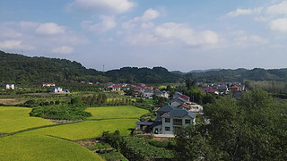 DƬ