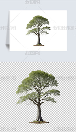 Gľ͸pngDƬز