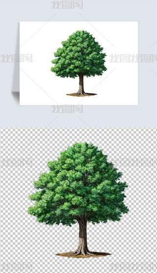 Gľ͸pngDƬز