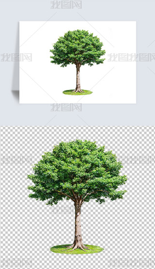Gľ͸pngDƬز