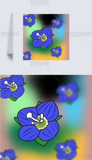 Сoo
