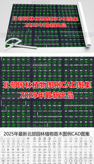 2025걱@־^ֲľľֲCADD