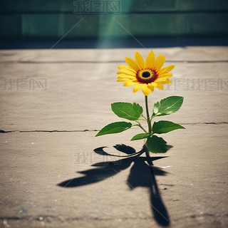 Ї(gu)Ź~(i)Ʉ(dng)f(yn)_(yng)