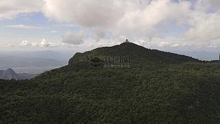 TL