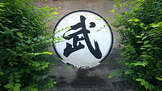 ǉ