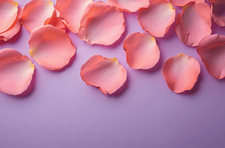 ăɫɢΨۼtɫõ廨꣨1Ԫ