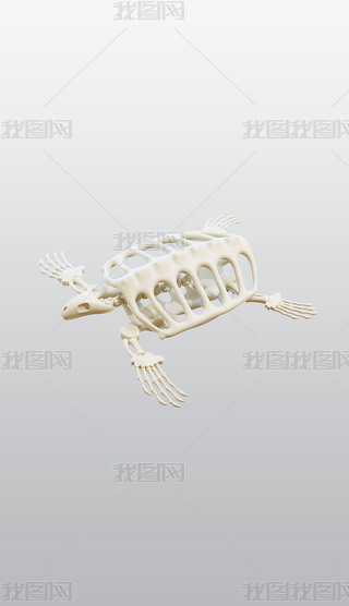 3DͨDblenderģͽģز