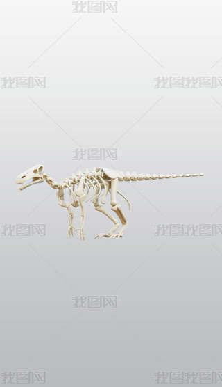 3DͨDblenderģͽģز