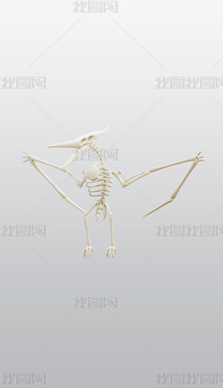 3DͨDblenderģͽģز