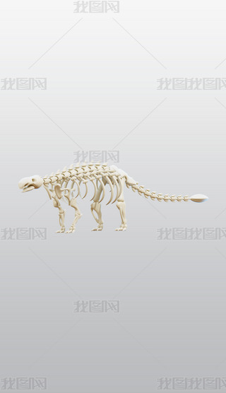 3DͨDblenderģͽģز