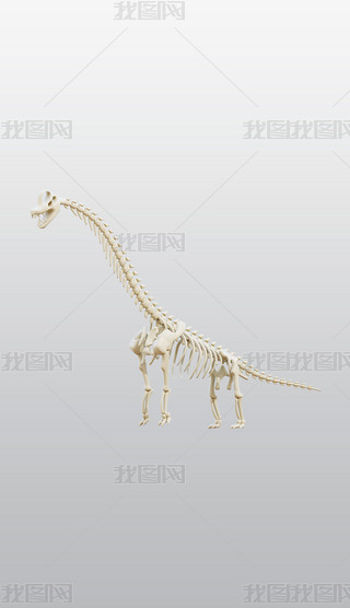 3DͨD(bio)blenderģͽģز