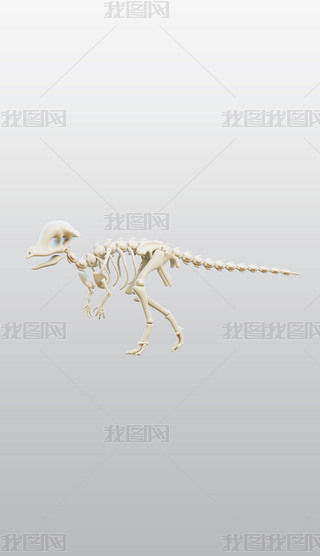 ^3DͨDblenderģͽģز