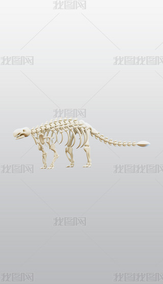 3DͨD˸⓸͸pngDƬز