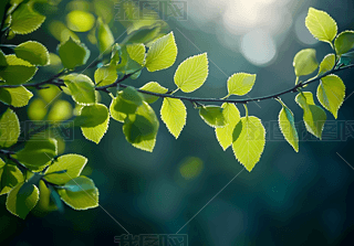 ֦~ï~RzӰD