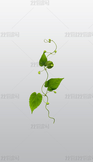 оG~ľGɫAI宋͸pngDƬز