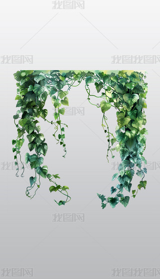 ҒGɫֲD⓸͸pngDƬز