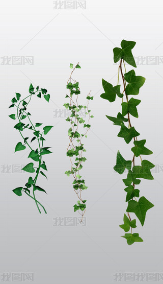 ľGɫɫAȦ⓸͸pngDƬز