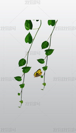 кľGɫ⓸͸pngDƬز