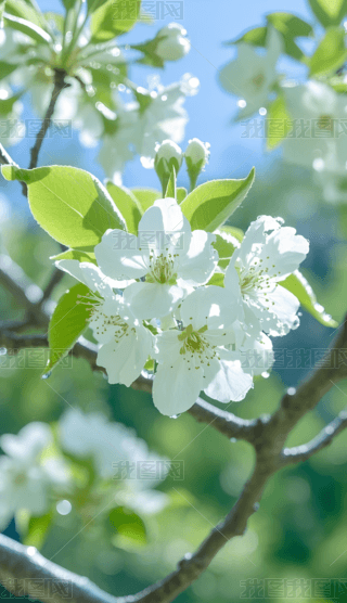 һ滨֙Cڼ (5)
