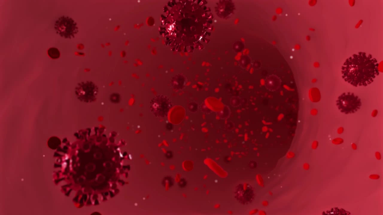 AE