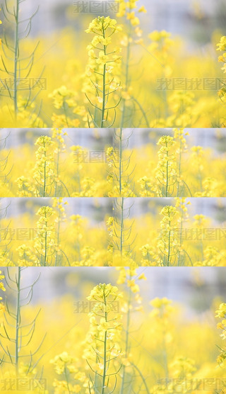 ΢ҕl
