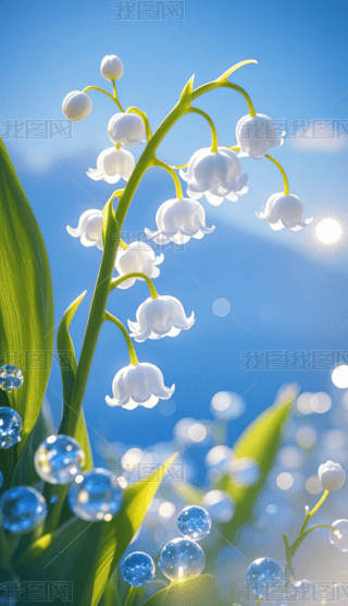 ꖹµm֙C(j)ڼ