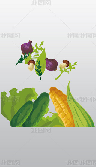 N߲˿ͨ宋⓸͸pngDƬز