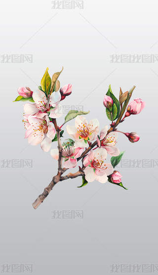 ęѻ֦ͨ宋⓸͸pngDƬز