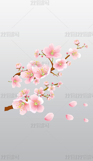 ʢ_ęѻͨ宋⓸͸pngDƬز